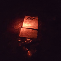 Karma to Burn 2