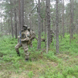 Berget 10
