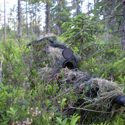 Berget 7 - Three Kings