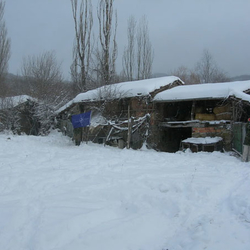 Winter Silent Night 10