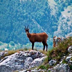 Trekking Gran Sasso